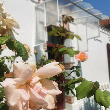 Au Coin Fleuri Villa La Bernerie-en-Retz Eksteriør bilde